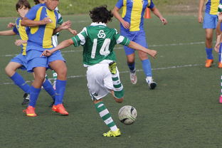 AYX GAME-中国足球国家队备战友谊赛调整战术策略，国足 友谊赛